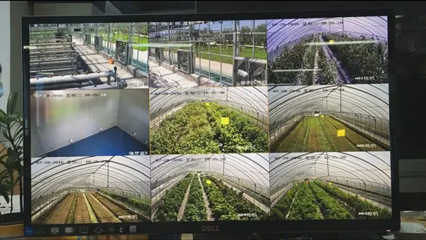 小微农业养殖种植园厂智能监控解决方案